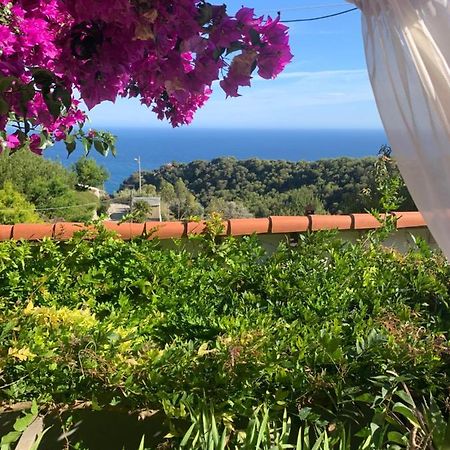 Villa D'Arte Mortola Superiore ภายนอก รูปภาพ