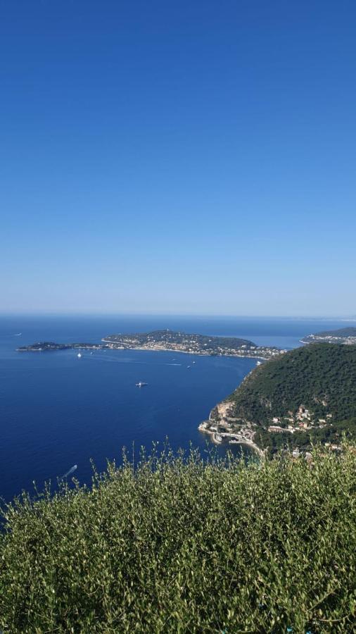 Villa D'Arte Mortola Superiore ภายนอก รูปภาพ