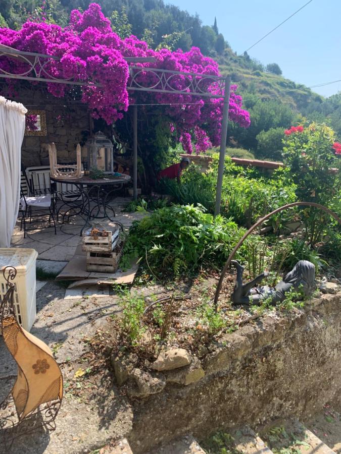 Villa D'Arte Mortola Superiore ภายนอก รูปภาพ