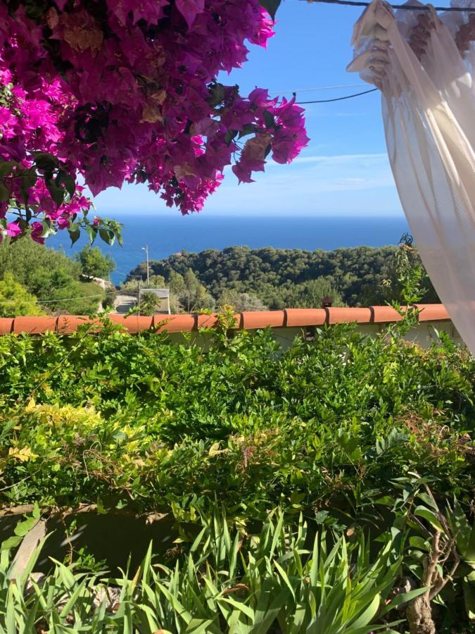 Villa D'Arte Mortola Superiore ภายนอก รูปภาพ