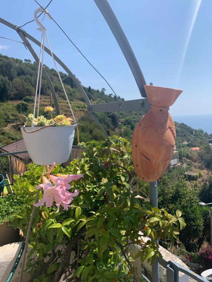 Villa D'Arte Mortola Superiore ภายนอก รูปภาพ