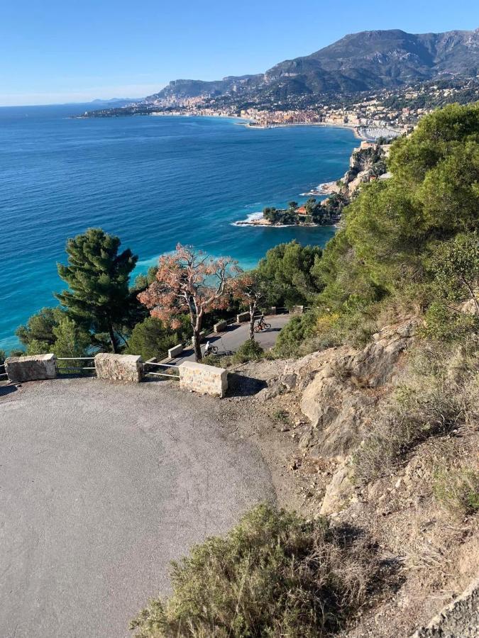 Villa D'Arte Mortola Superiore ภายนอก รูปภาพ