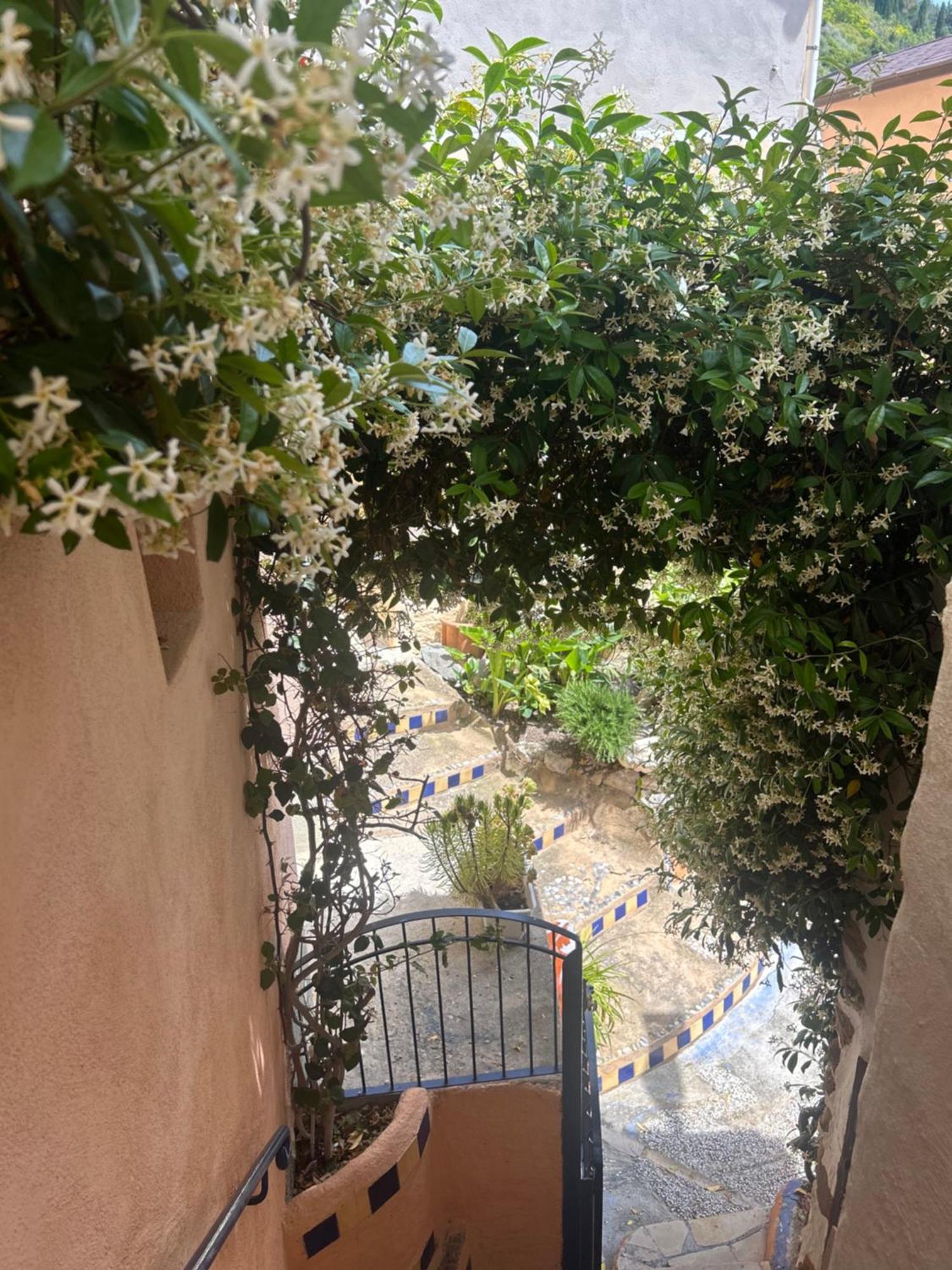 Villa D'Arte Mortola Superiore ภายนอก รูปภาพ
