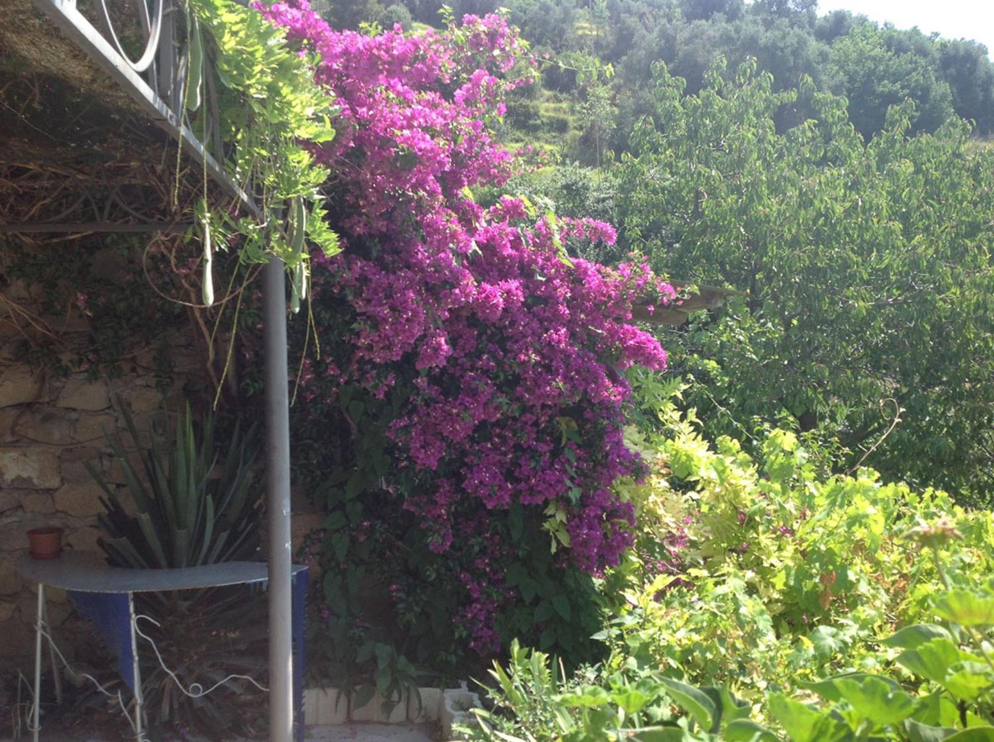 Villa D'Arte Mortola Superiore ห้อง รูปภาพ