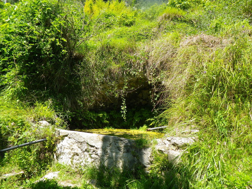 Villa D'Arte Mortola Superiore ห้อง รูปภาพ